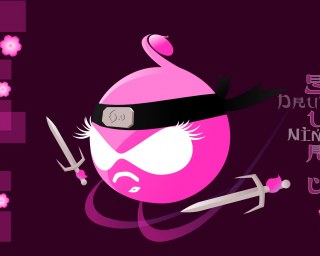 drupal ninja