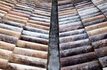 Roof tiles by Finn Sturdy